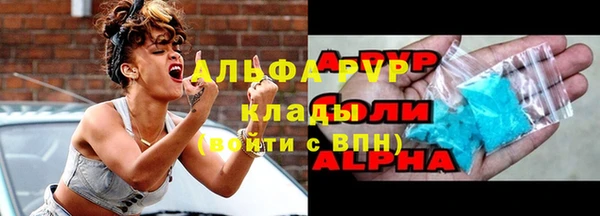 соль ск Новозыбков