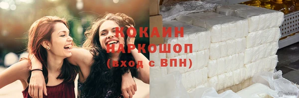 соль ск Новозыбков