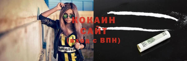 соль ск Новозыбков