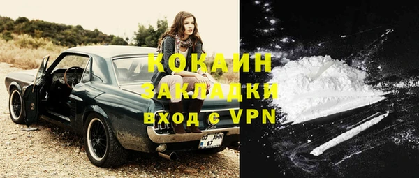 соль ск Новозыбков