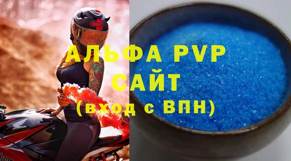 соль ск Новозыбков