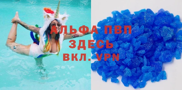 соль ск Новозыбков