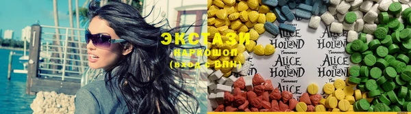 соль ск Новозыбков