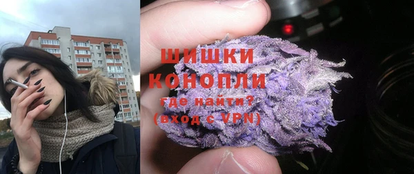 соль ск Новозыбков