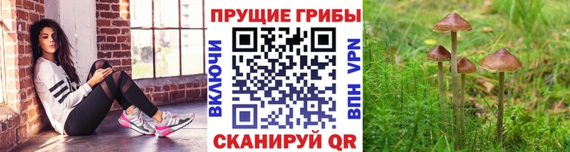 купить наркотики цена  Усолье  Галлюциногенные грибы прущие грибы 